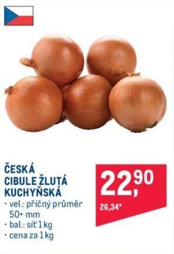Makro ČESKÁ CIBULE ŽLUTÁ KUCHYŇSKÁ nabídka