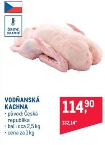 Makro VODŇANSKÁ KACHNA nabídka