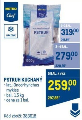 Makro PSTRUH KUCHANÝ nabídka