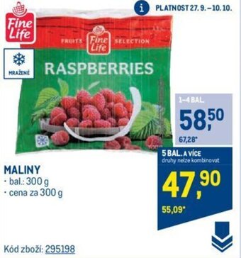 Makro MALINY nabídka