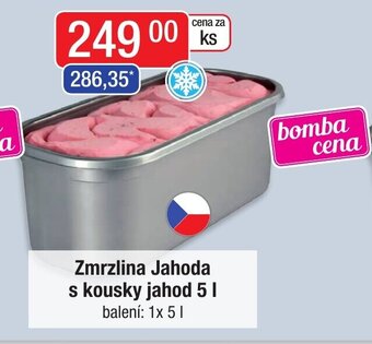 Zmrzlina Jahoda s kousky jahod 5 l.
