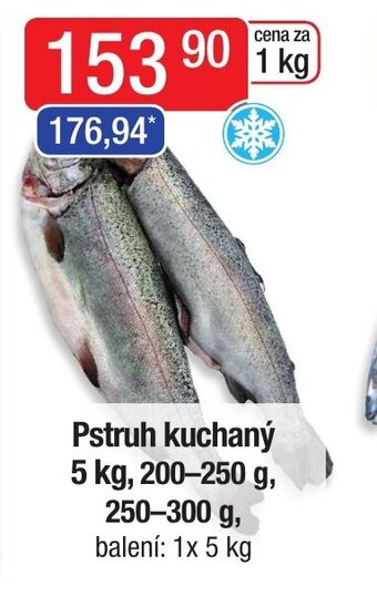 Pstruh kuchaný 5 kg, 200-250 g, 250-300 g,