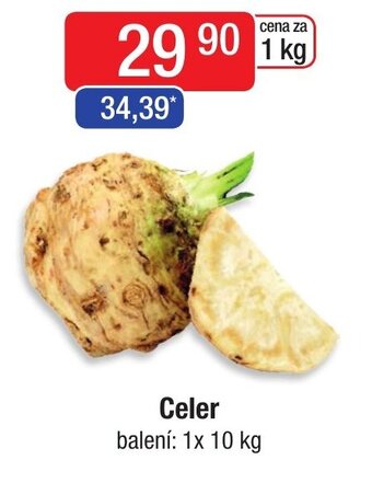 Celer