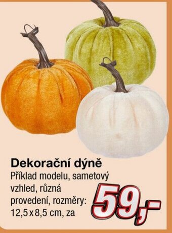 Kik Dekorační dýně nabídka