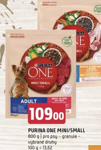 Terno PURINA ONE MINI/SMALL nabídka