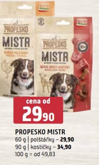 Terno PROPESKO MISTR nabídka