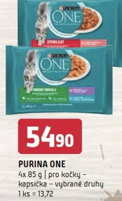Terno PURINA ONE nabídka