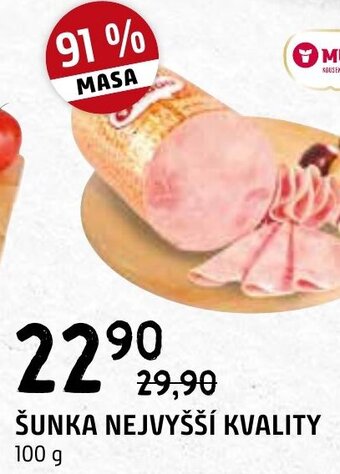 Terno ŠUNKA NEJVYŠŠÍ KVALITY nabídka