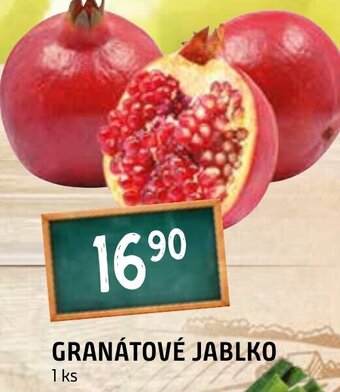 Terno GRANÁTOVÉ JABLKO nabídka