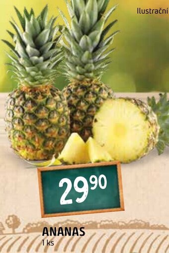 ANANAS