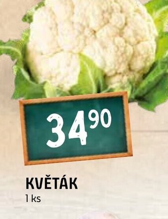 Terno KVĚTÁK nabídka