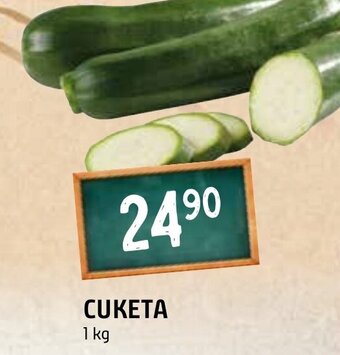 Terno CUKETA nabídka