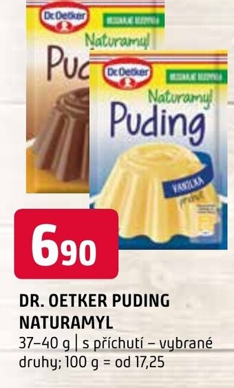 Terno DR. OETKER PUDING NATURAMYL nabídka