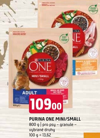 Terno PURINA ONE MINI/SMALL nabídka