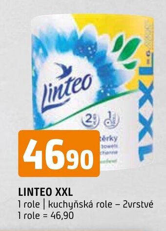 Terno LINTEO XXL nabídka
