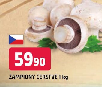 Trefa ŽAMPIONY ČERSTVÉ 1 kg nabídka