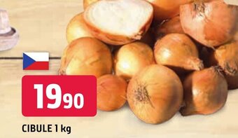 CIBULE 1 kg