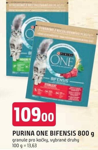 Trefa PURINA ONE BIFENSIS 800 g nabídka