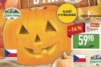 Billa Dýně mexická nabídka