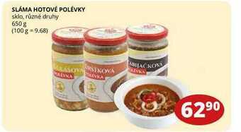 Flop Sláma hotové polévky sklo, různé druhy 650 g nabídka