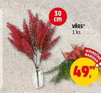 Penny Market Vřes, 1 ks nabídka