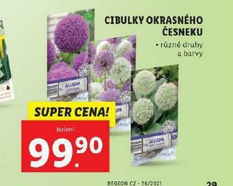 Lidl Cibulky okrasného česneku nabídka