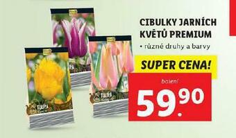 Lidl Cibulky jarních květů premium nabídka