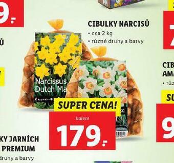 Lidl Cibulky narcisů nabídka