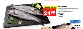 Lidl Mořský vlk nabídka
