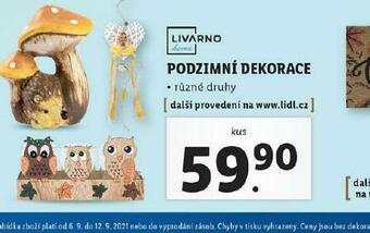 Lidl Podzimní dekorace nabídka