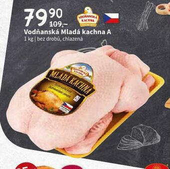 Terno Vodňanská mladá kachna a nabídka