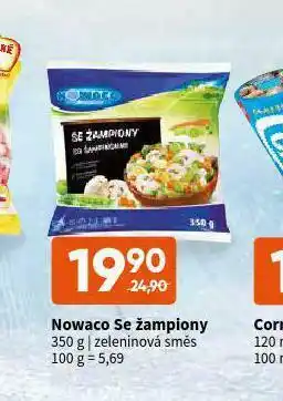 Terno Nowaco se žampiony nabídka