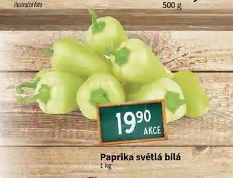 Terno Paprika světlá bílá nabídka