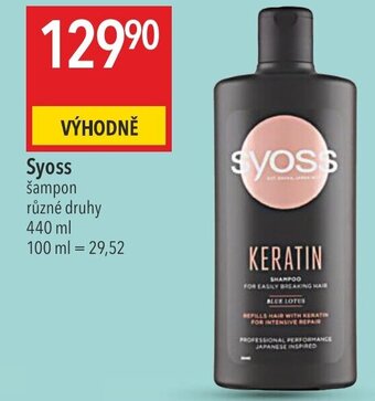 Globus Syoss nabídka