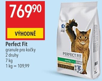 Globus Perfect Fit nabídka