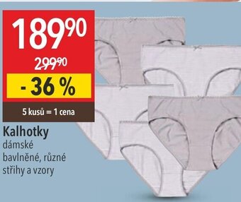 Globus Kalhotky nabídka