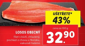Lidl LOSOS OBECNÝ nabídka