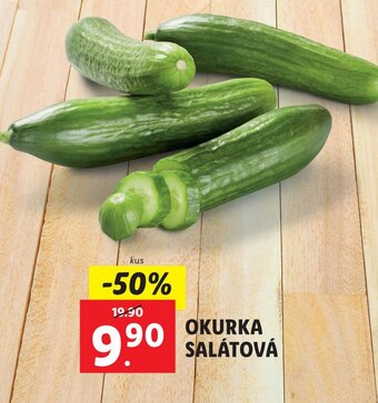 Lidl OKURKA SALATOVA nabídka