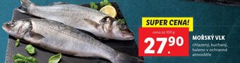 Lidl MOŘSKÝ VLK nabídka