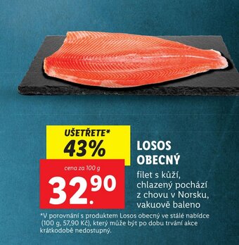 Lidl LOSOS OBECNÝ nabídka