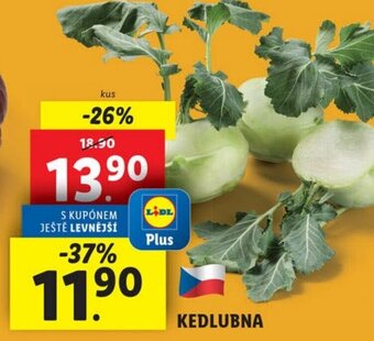 Lidl KEDLUBNA nabídka
