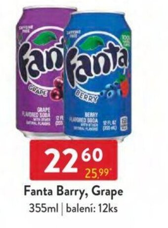 Qanto Fanta Barry, Grape 355ml nabídka