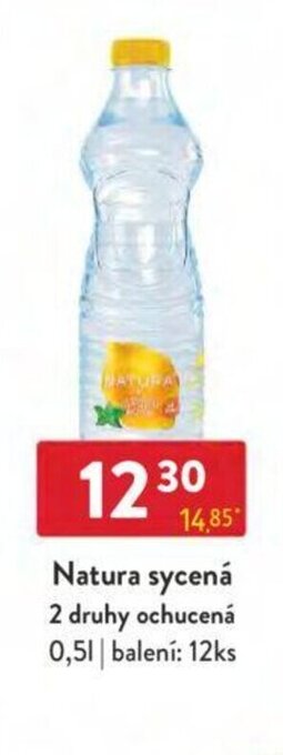 Qanto Natura sycená 2 druhy ochucená 0,5 l. nabídka