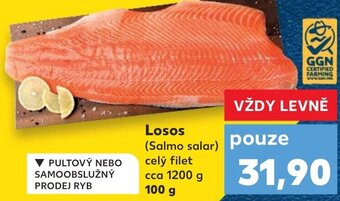 Kaufland Losos (Salmo salar) nabídka