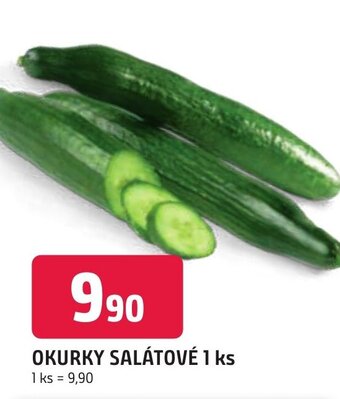 Trefa OKURKY SALÁTOVÉ 1 ks nabídka