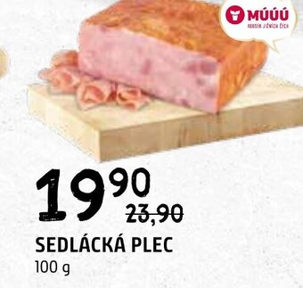 Terno SEDLÁCKÁ PLEC 100 g nabídka