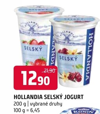 Terno HOLLANDIA SELSKY JOGURT nabídka