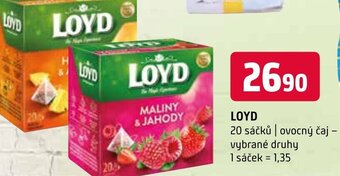 Terno LOYD nabídka