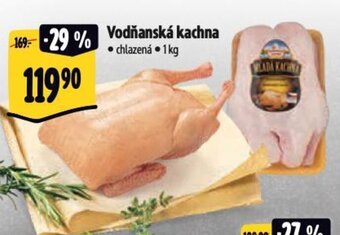 Albert Vodňanská kachna nabídka