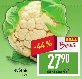 Billa Květák nabídka